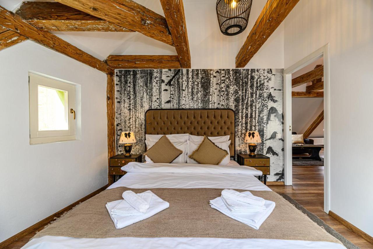 Historical Apartment Brasov