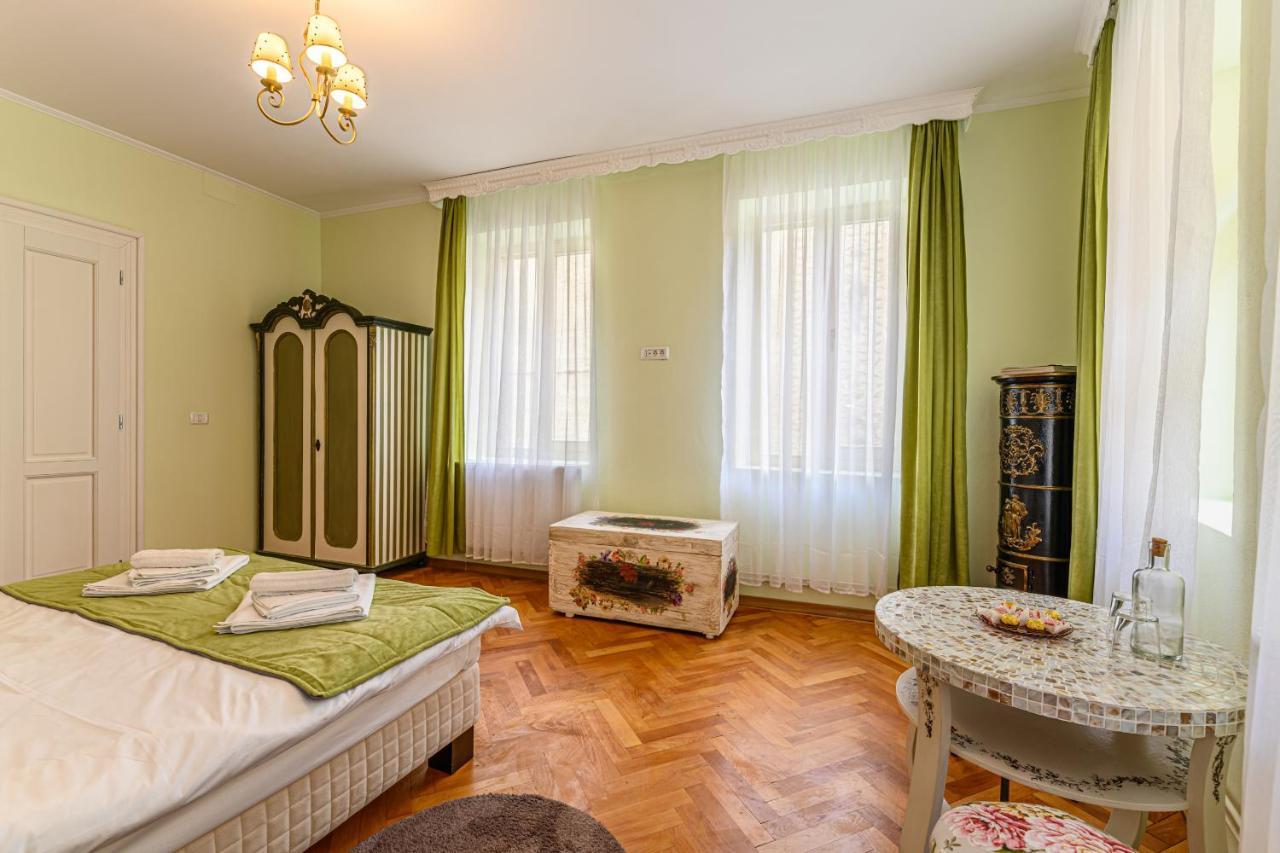 Historical Apartment Brasov